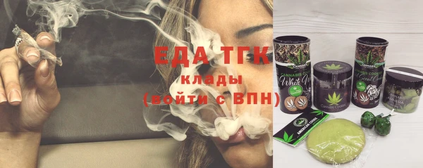 шишки Лабытнанги