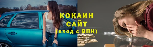 ГАЛЛЮЦИНОГЕННЫЕ ГРИБЫ Лысково