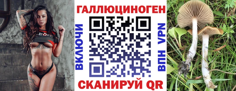 Псилоцибиновые грибы Magic Shrooms  Мамоново 